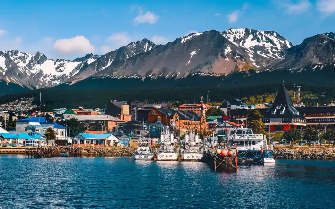 Beyond Farmed: How the Cold-Water Argentine Red Shrimp is Outperforming Tropical Alternatives